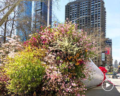 larger than life flower installation by terrain work decks the streets of new york city