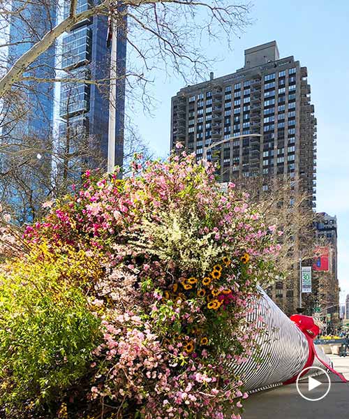 larger than life flower installation by terrain work decks the streets of new york city