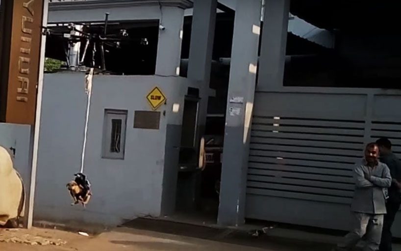 inventor-turned-'hero' built a drone to save this puppy...apparently
