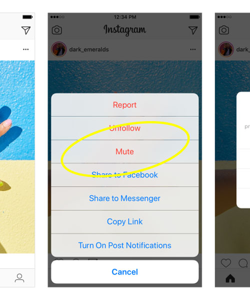 instagram adds a mute button so you can finally silence those feed-hungry friends