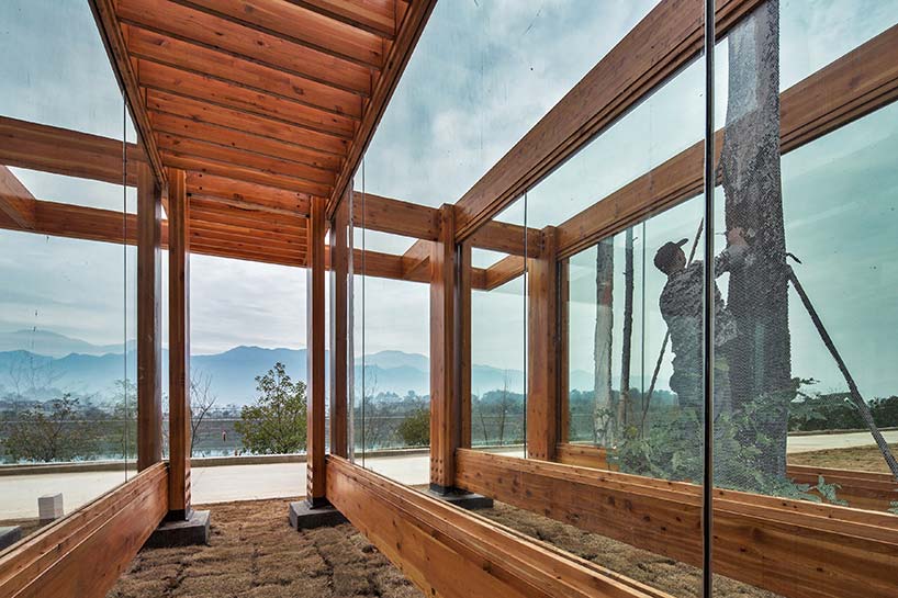 pine pavilion dna