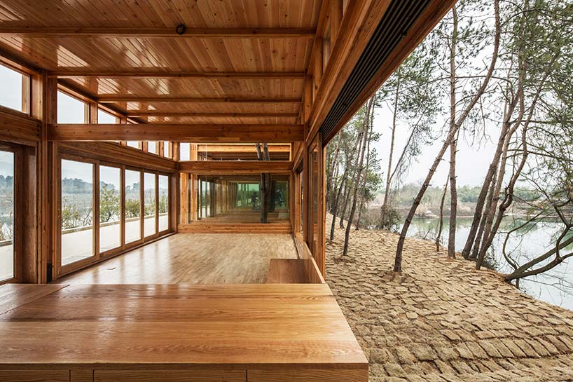 pine pavilion dna