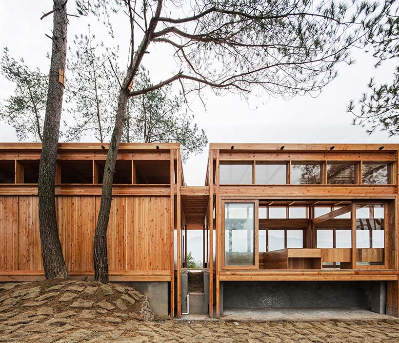 pine pavilion dna