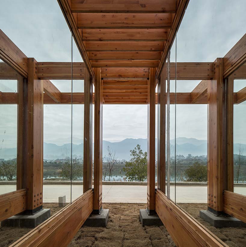 pine pavilion dna