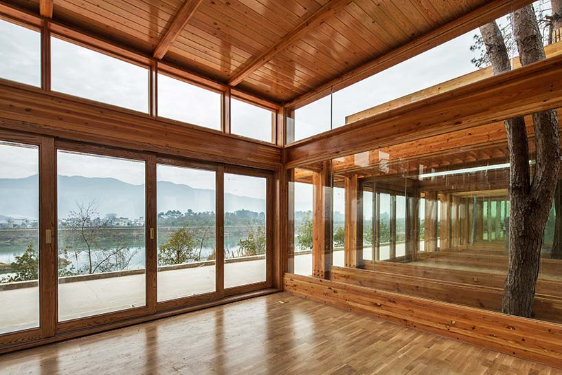 pine pavilion dna