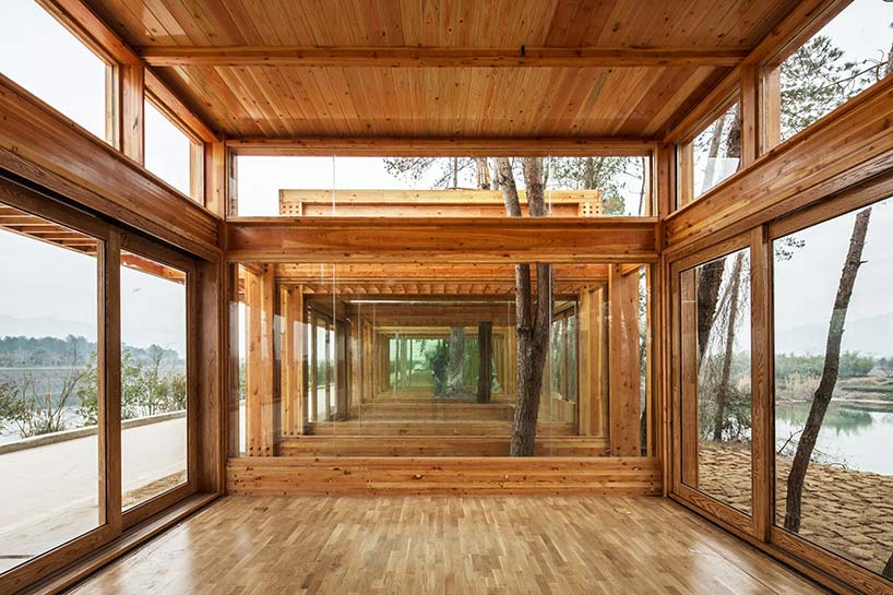 pine pavilion dna