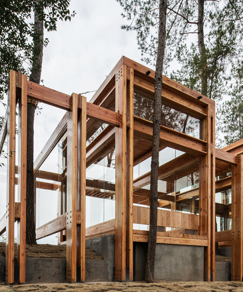 pine pavilion offers a poetic reading of resin production while overlooking the songyin river