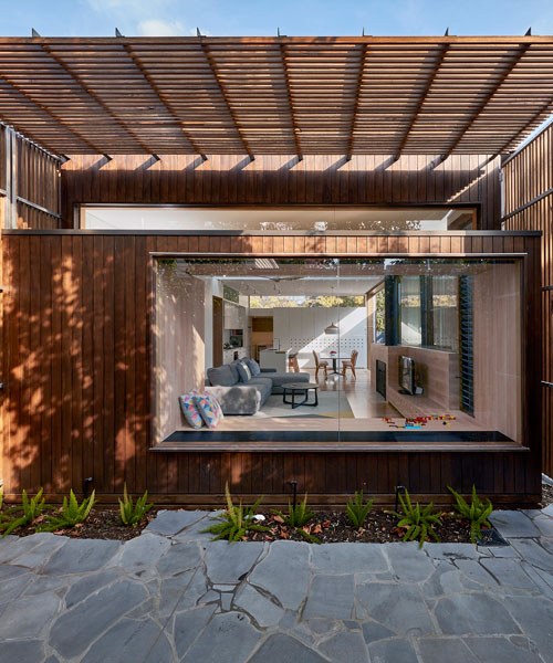 warc studio's screen house in australia is cloaked in timber hardwood