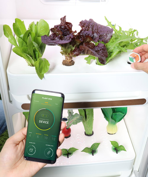 you can now plant seeds in your fridge with agwart's app-controlled plantbox
