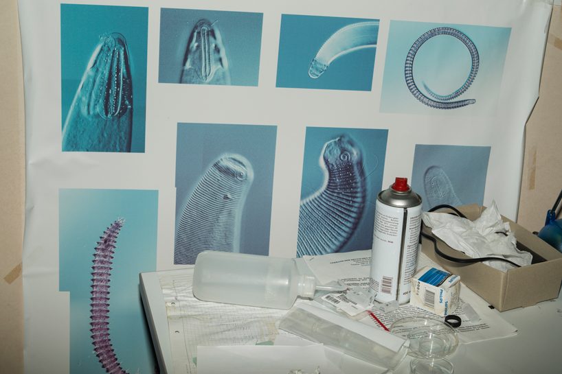 artist armin linke exposes the exploitation of our million dollar oceans