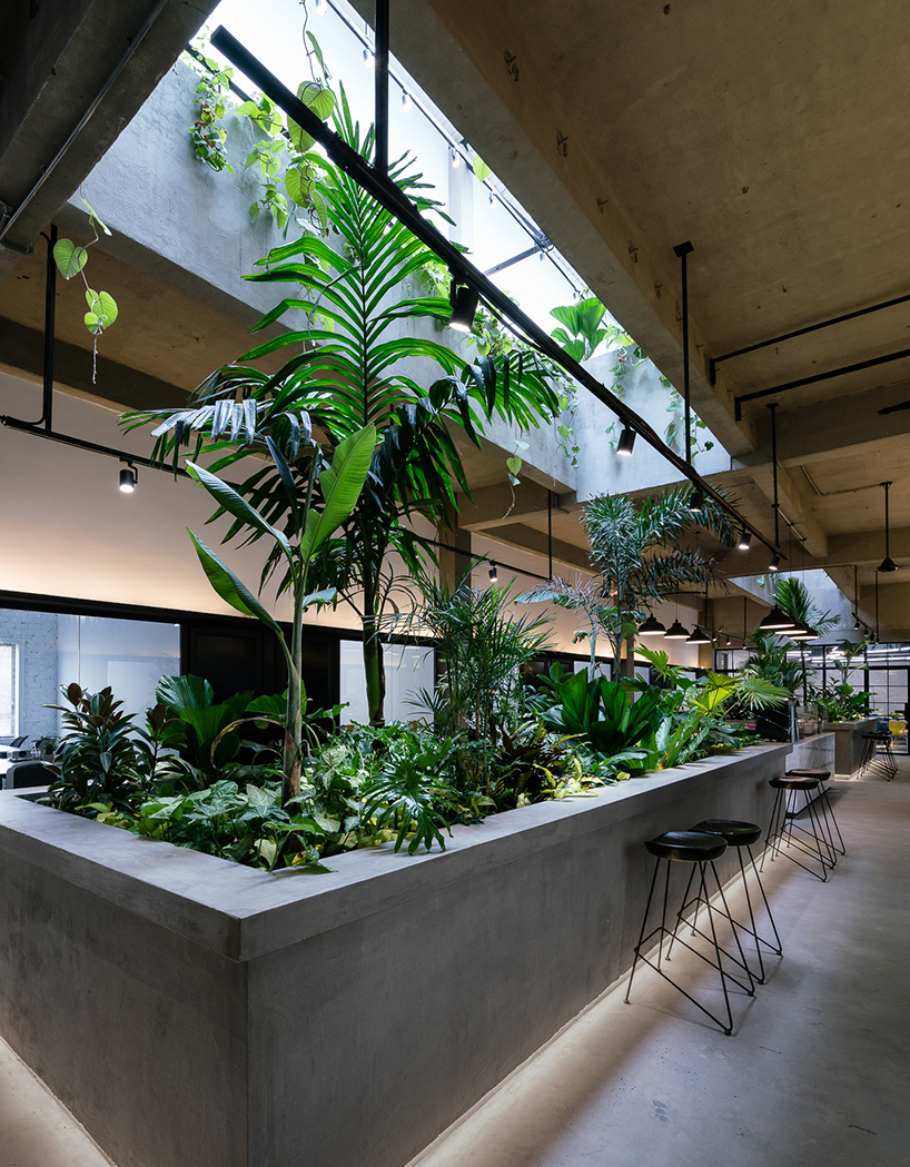 discover the growing trend of green spaces in vietnam through designboom readers radar