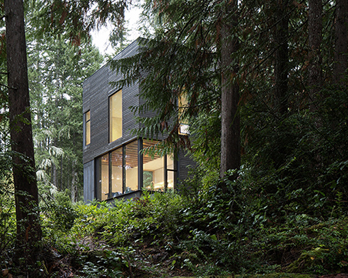 mwworks weaves 'whidbey island retreat' through washington state forests