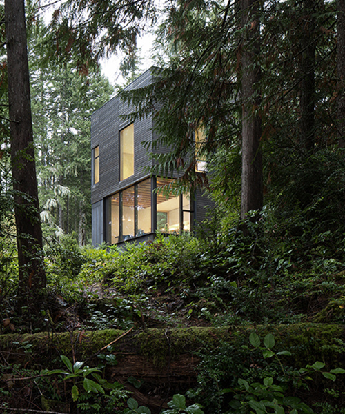 mwworks nestles its 'little house' in the forests of washington state