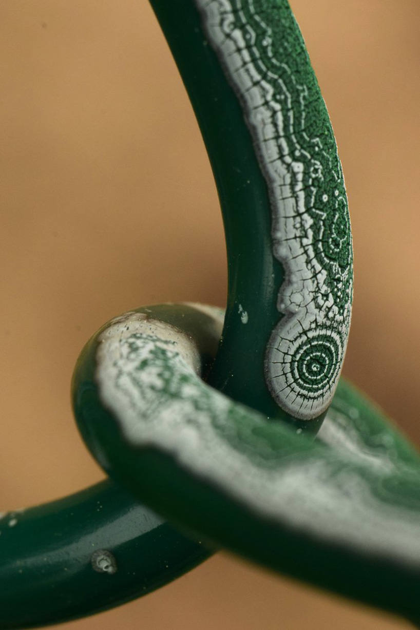 the art of nature captured in photographs of a weathering chain link fence