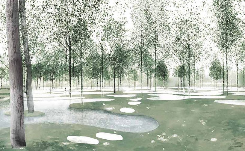 junya ishigami's art biotop project of a water garden in tochigi, japan