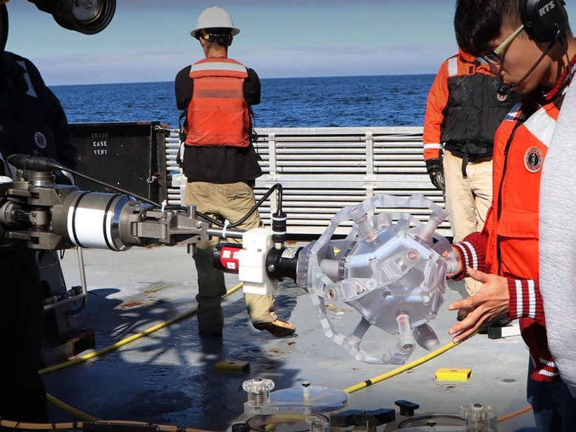 this 3D-printed origami robot captures delicate sea creatures without crushing them