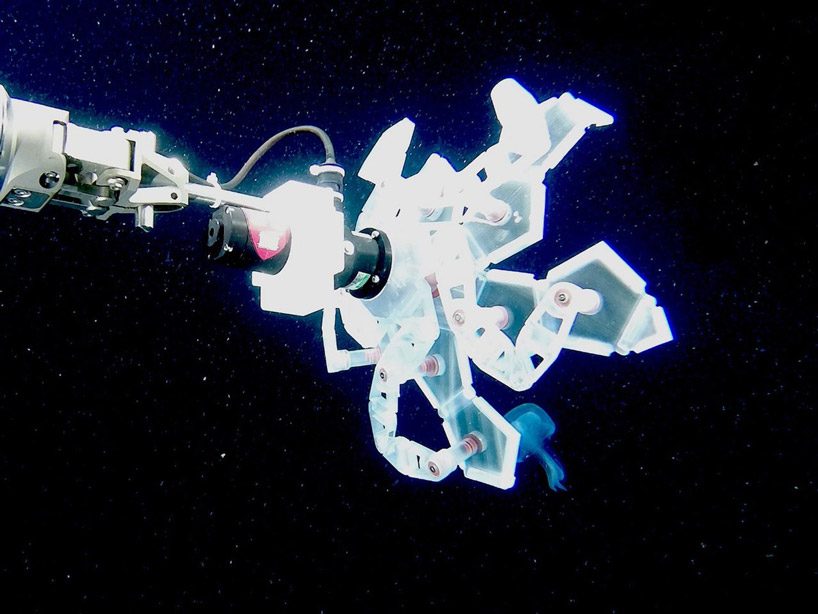 this 3D-printed origami robot captures delicate sea creatures without crushing them