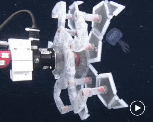 this 3D-printed origami robot captures delicate sea creatures without crushing them