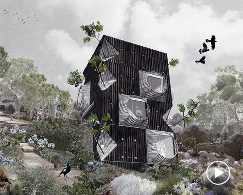 an ornithologist's dream: this home is entirely engineered around bird watching