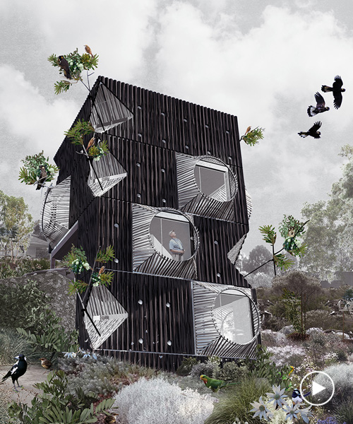 an ornithologist's dream: this home is entirely engineered around bird watching