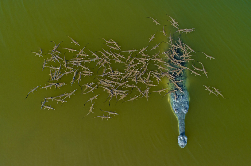 2018 Drone Ödülleri Açıklandı! Fotoğraf Haber