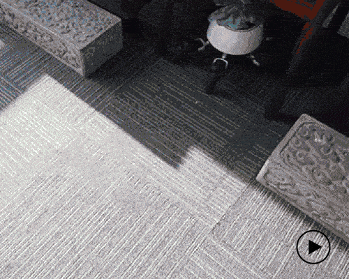 HEXA the six-legged robot plant chases the sun to look after its succulent