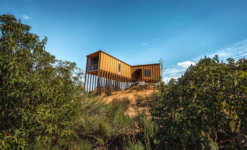 santos bolivar casa media perra