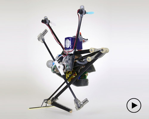 this hyper-aggressive pogo-stick robot demonstrates studies of extreme locomotion