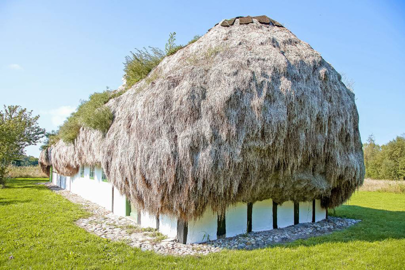 The Roof Of This Cottage In Denmark Is Made Of Over 32 Tons Of Seaweed The Roof Of This Cottage In Denmark Is Made Of Over 32 Tons Of Seaweed