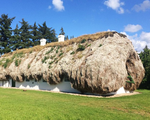 the roof of this historical cottage in denmark is made of over 32 tons of seaweed