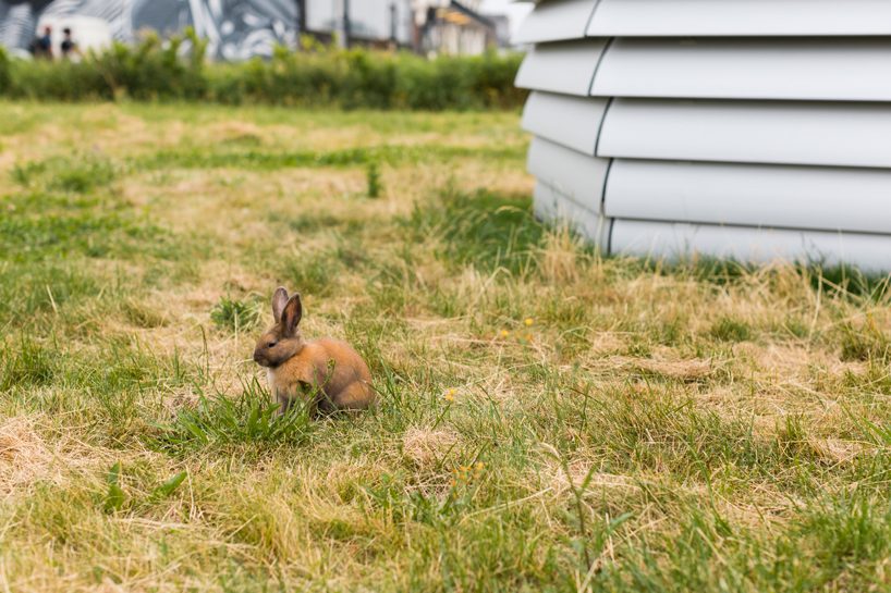 studio roosegaarde's smog free tower returns to rotterdam, predicting new solutions for a clean air future