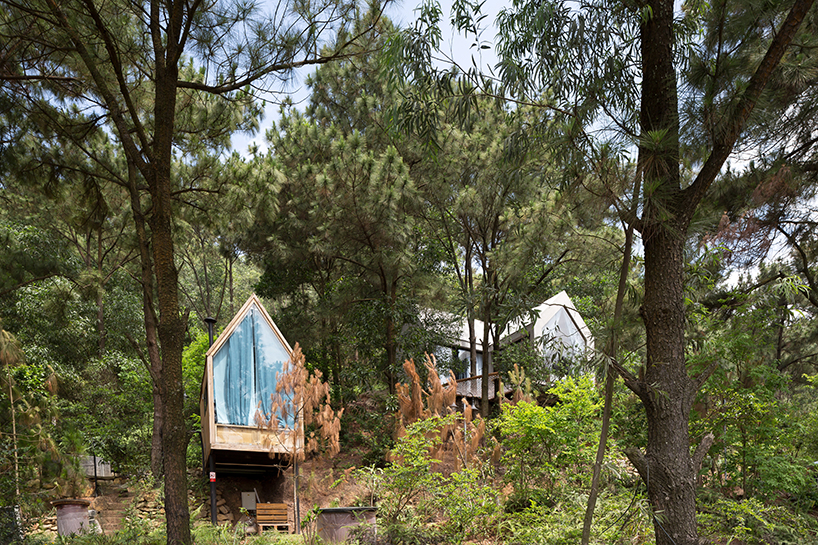 architect chu văn đông builds a second 'forest house' in northern vietnam