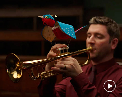 george wu powers bird puppets by jazz in her short film 'the dawn chorus'