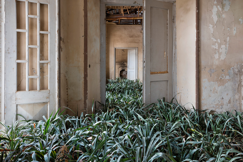 gohar dashti home
