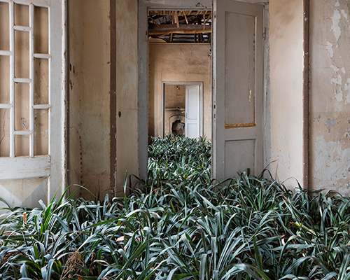 gohar dashti offers a solemn view of a speculative post-war 'home'