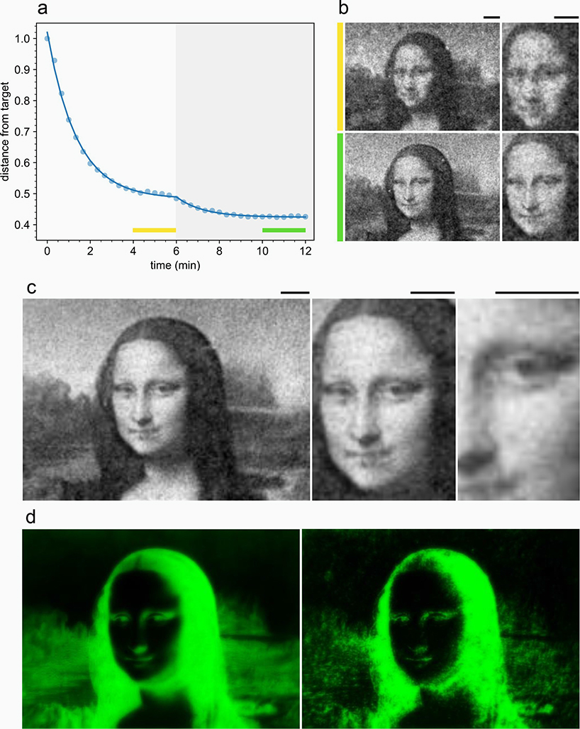 mona lisa made from bacteria