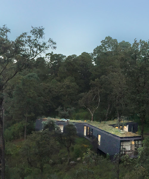 cadaval & solà-morales' residence exists in perfect symbiosis with its mexican forest surroundings