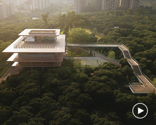 MLA+'s library in shenzhen park features an elevated walkway through the three crowns