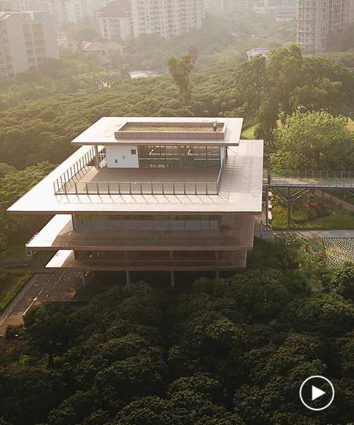 MLA+'s library in shenzhen park features an elevated walkway through the three crowns