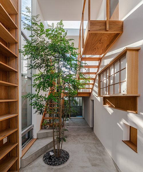 pluszero's house in ouji, tokyo brings the sidewalk into the home