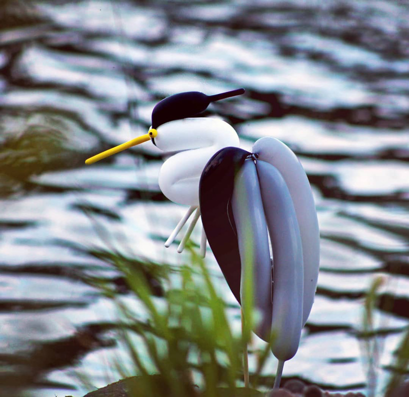 artist makes brilliant balloon sculptures of birds in the wild