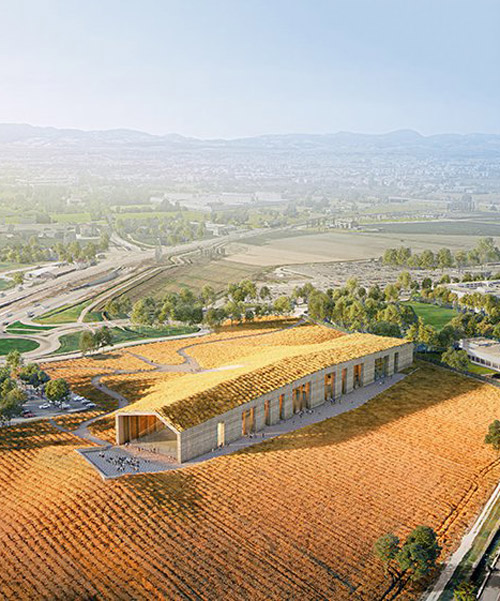 VAARO + gabriel fain's barilla visitor center in parma features a wheat field on the roof
