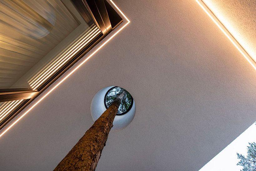 modernist house in lithuanian pine forest bridges a creek, by archLAB