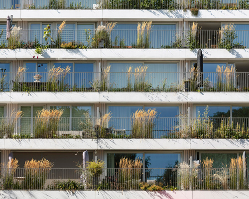NL architects cloaks canal-side amsterdam residences in a 'veil' of vegetation