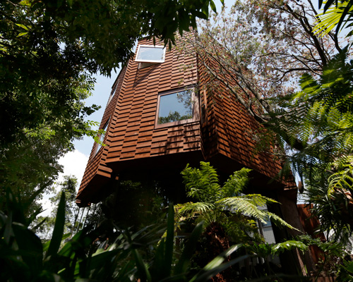 atelier tsuyoshi tane's wooden tower house in todoroki emerges from tokyo's urban jungle