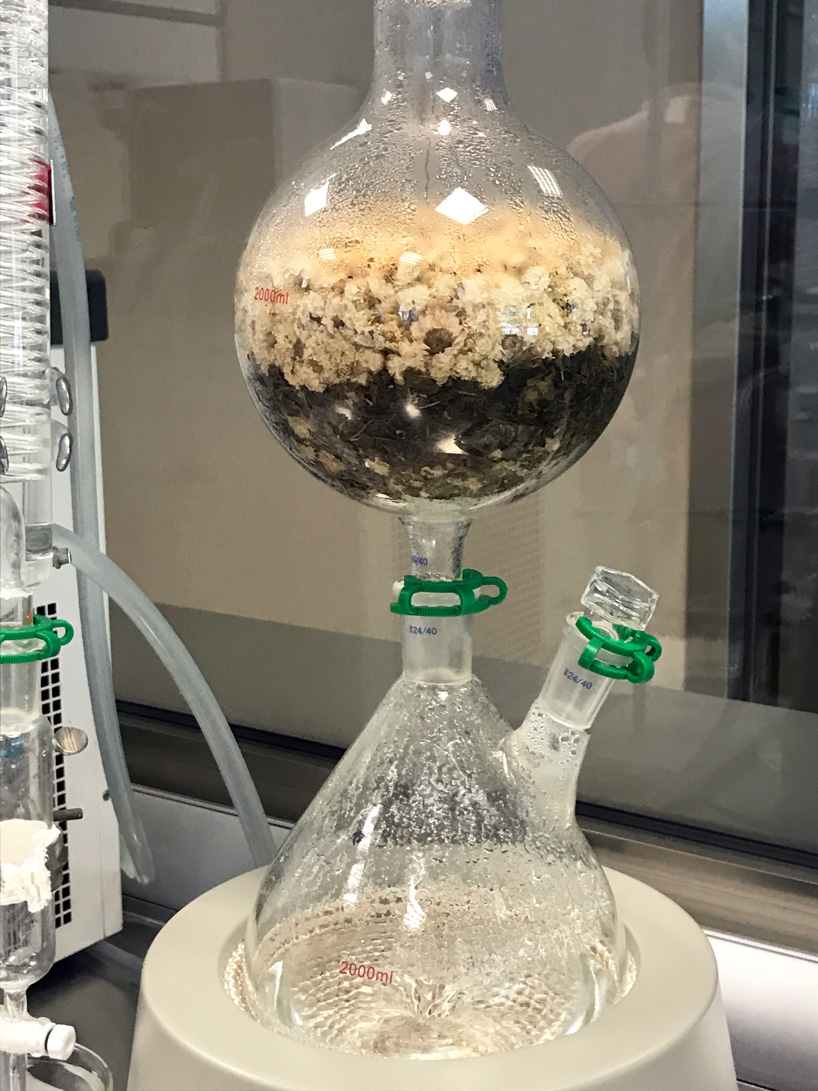 designing an artisanal perfume for interiors with dr. vranjes firenze designboom