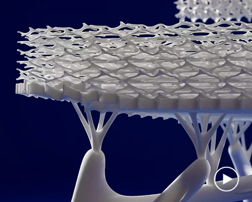 radiolaria # 1, a 3D printed chair that mimics unicellular organisms, by lilian van daal