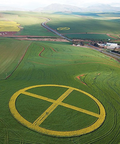 strijdom van der merwe plants two earth symbols with canola and wheat in south africa