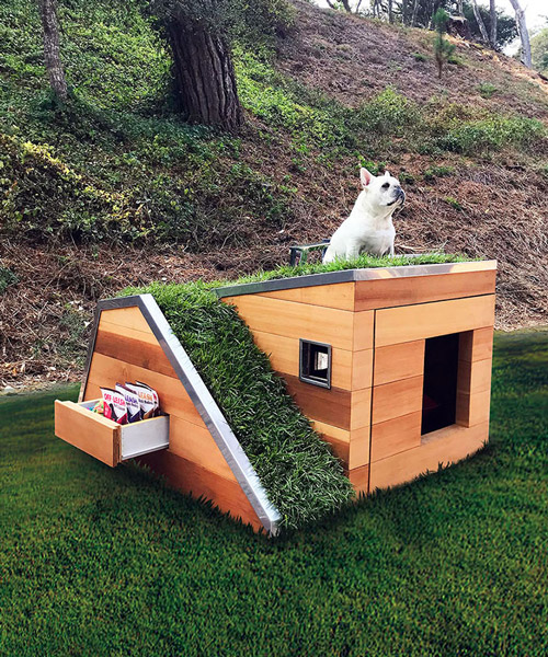 this doggy dreamhouse features a green roof, by studio schicketanz