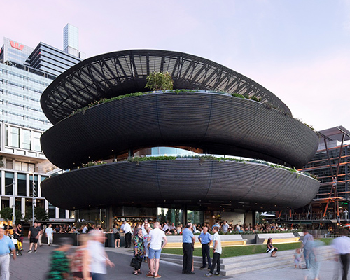 the sculptural timber facade of collins and turner's barangaroo house integrates edible plants